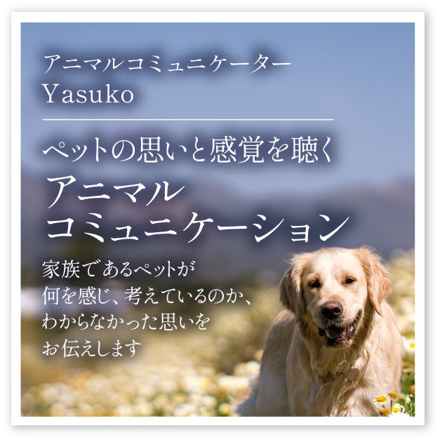 Yasuko「ペットの思いと感覚を聴くアニマルコミュニケーション」