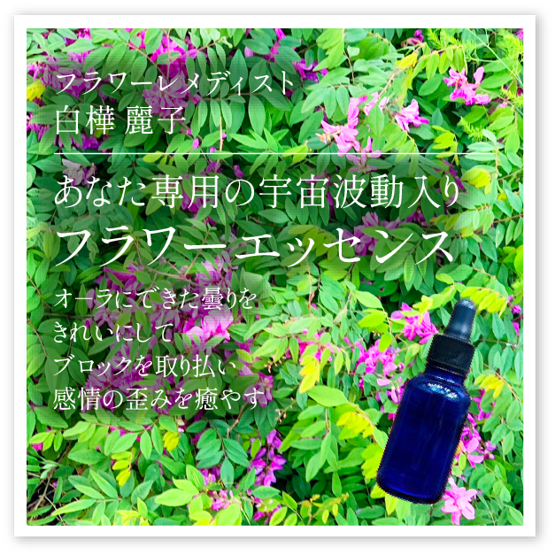 白樺麗子「あなた専用の宇宙波動入りフラワーエッセンス」